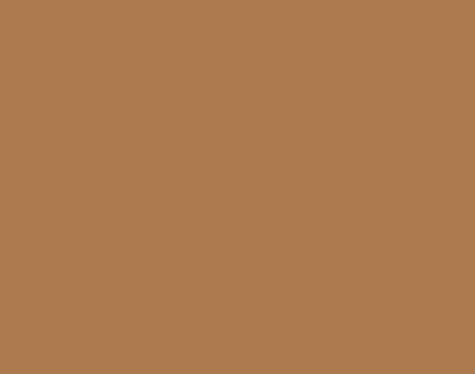 Bruinbeige