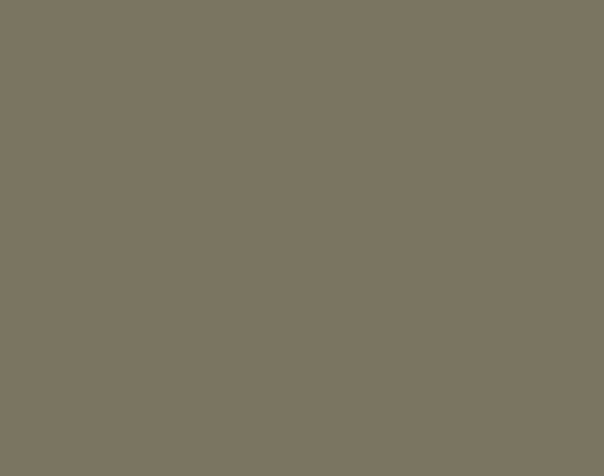 Olijfgrijs